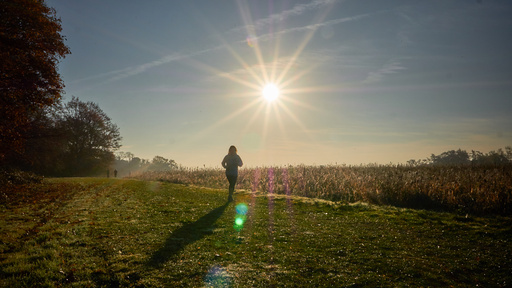 An individual joyfully running through a sunlit field.