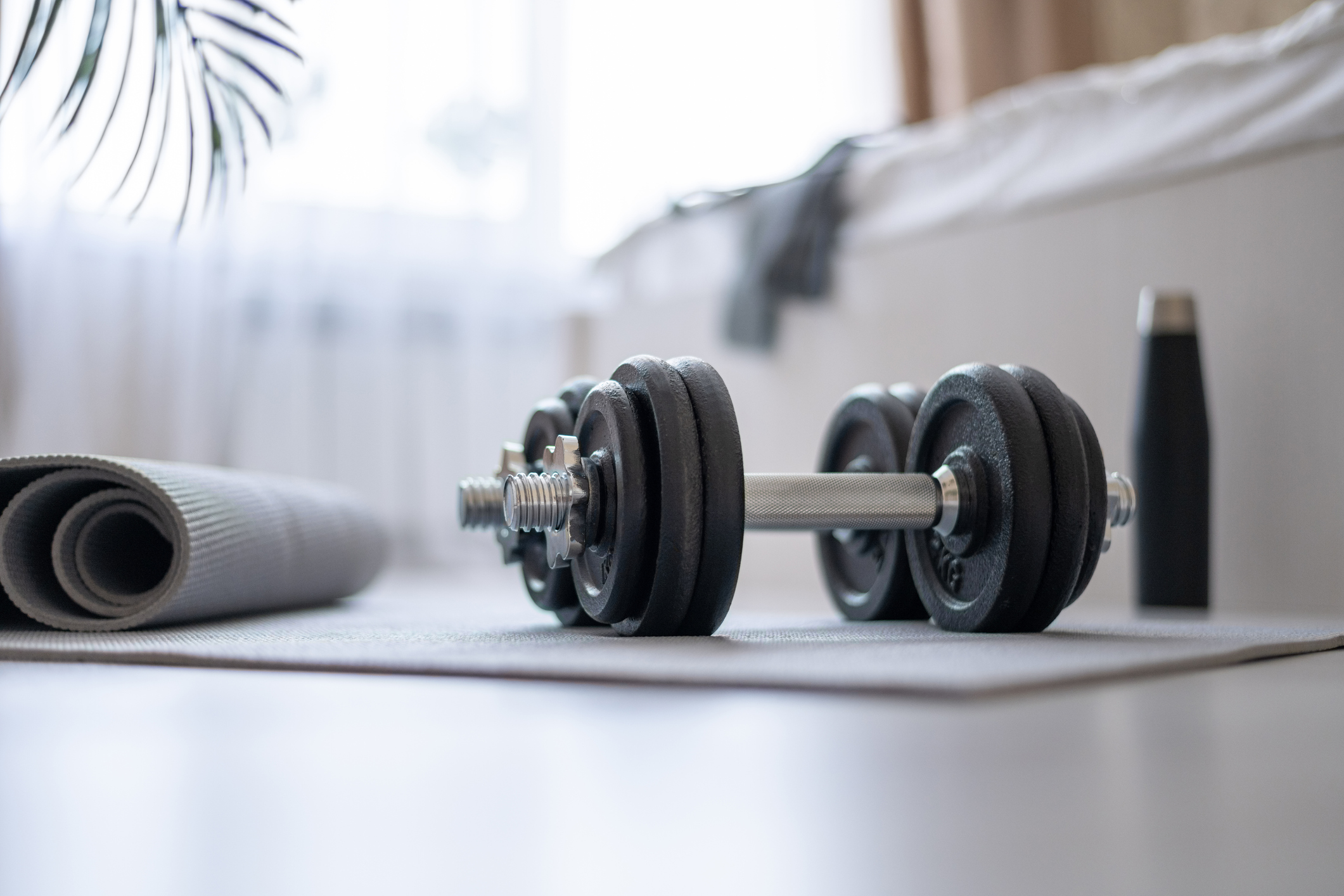 Protein, Muscle and Strength